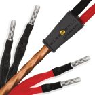 Wireworld Mini Eclipse™ 10 Speaker Cable 2M